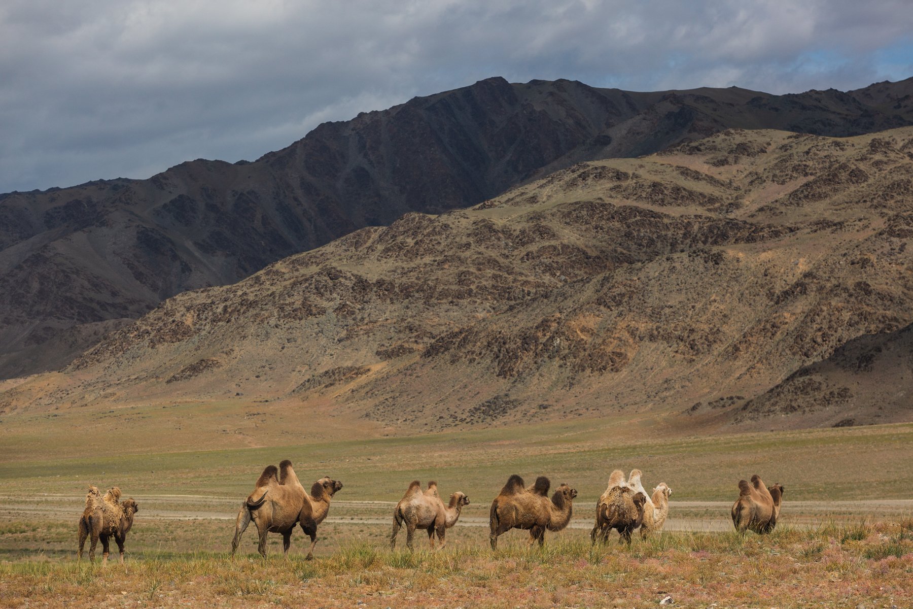 mongolia climate 1800-30.jpg