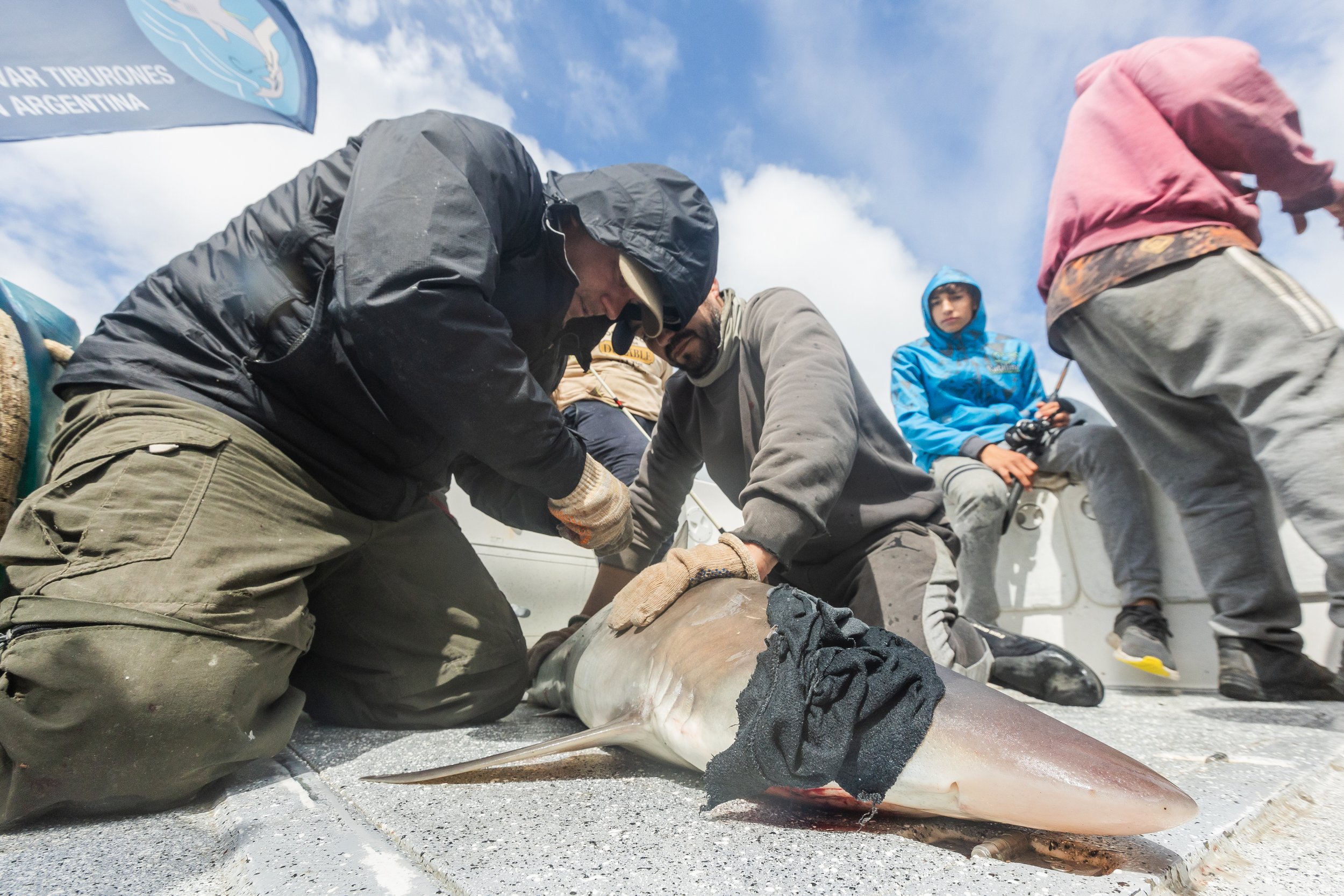 WCS San Blas Sharks-72.jpg