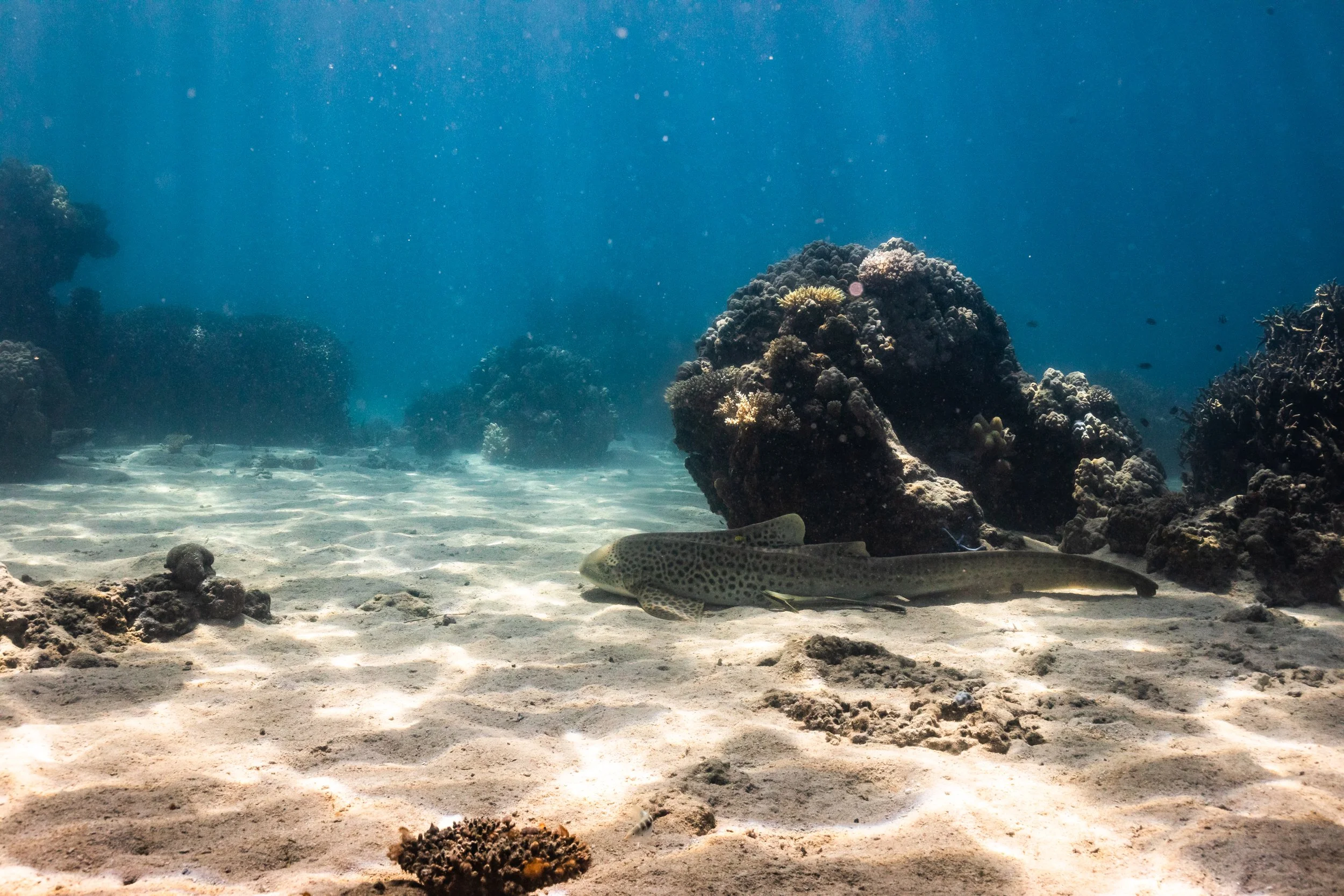 Fiji high-res-501.jpg