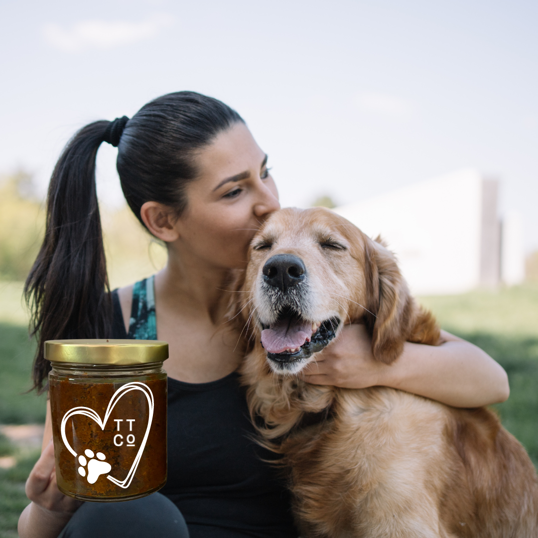 doggy turmeric paste with dog and human.png