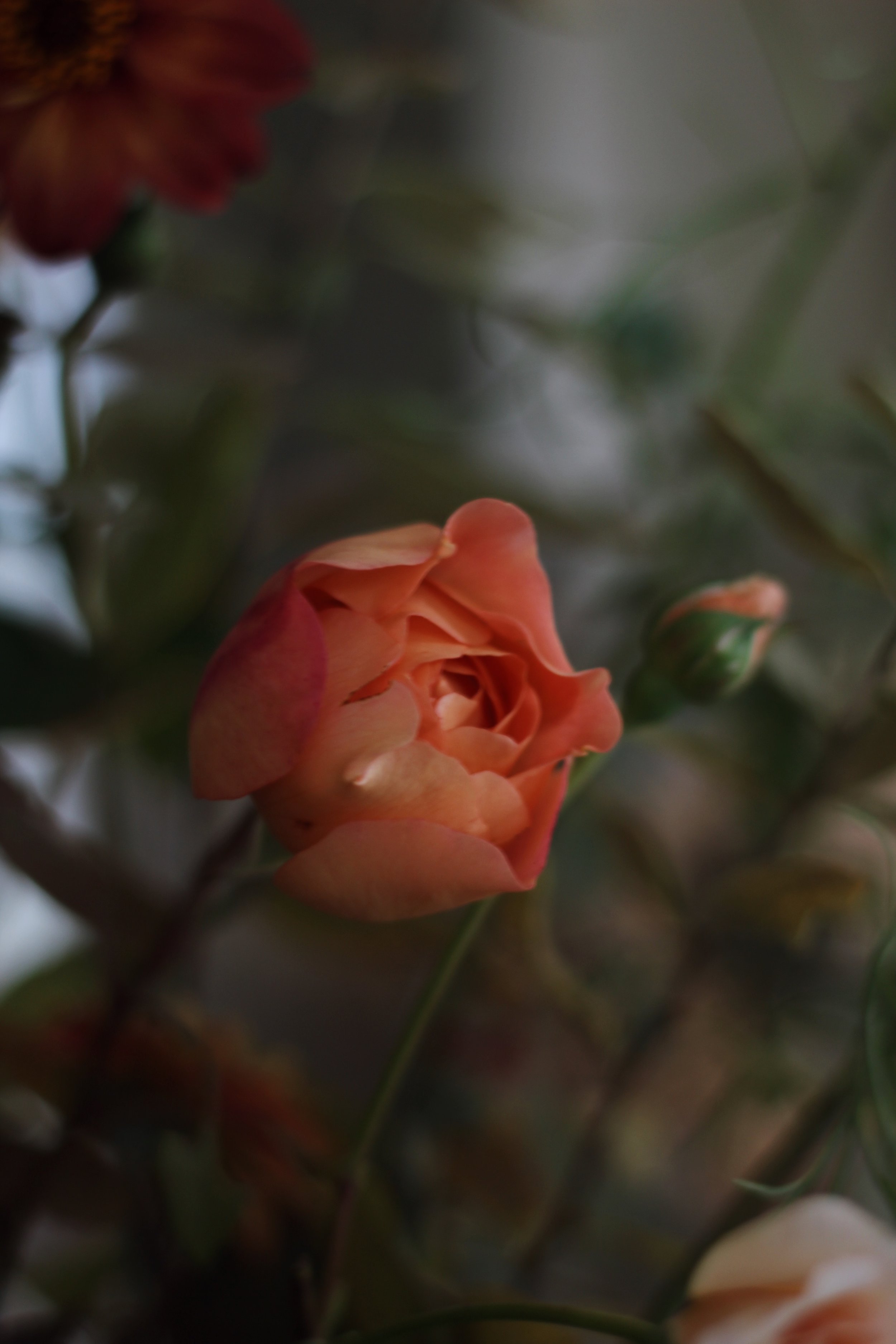 E04F2175-B0FC-4B81-BA53-092DF9307C85.jpeg