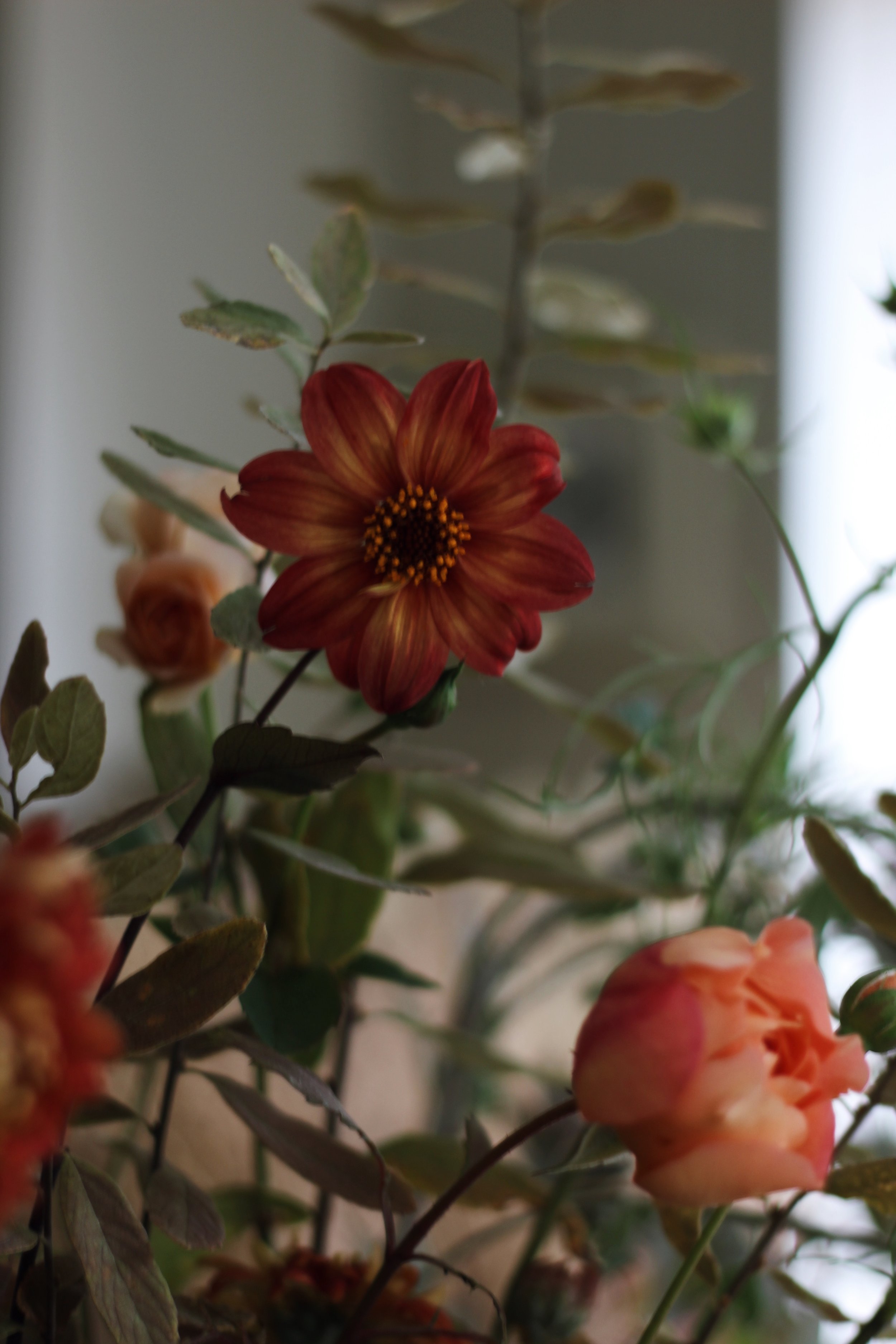 8C2BF88B-2584-4C39-BFBD-A7B99914D905.jpeg