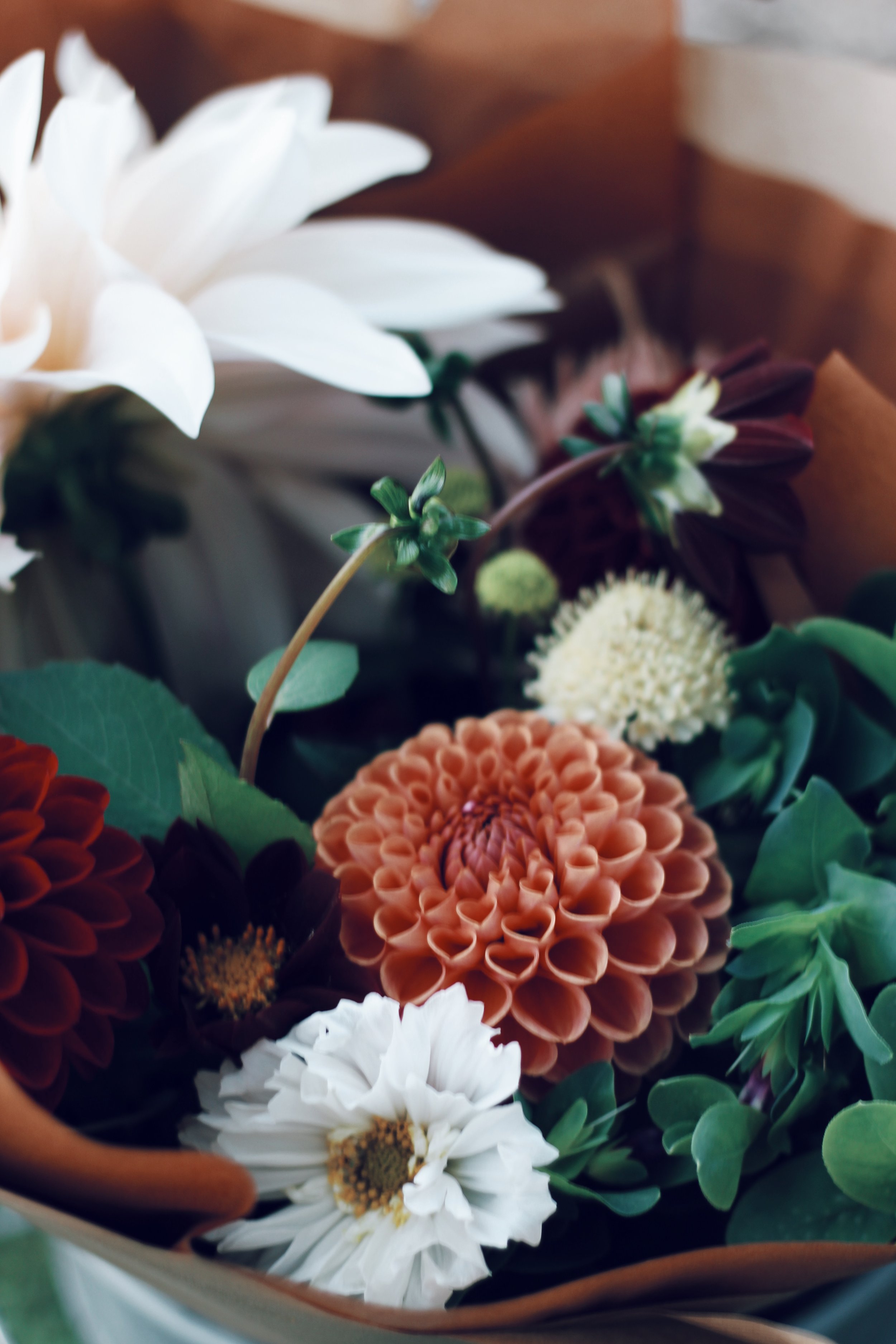 388F95D1-A24D-461E-919C-02B305429ED8.jpeg