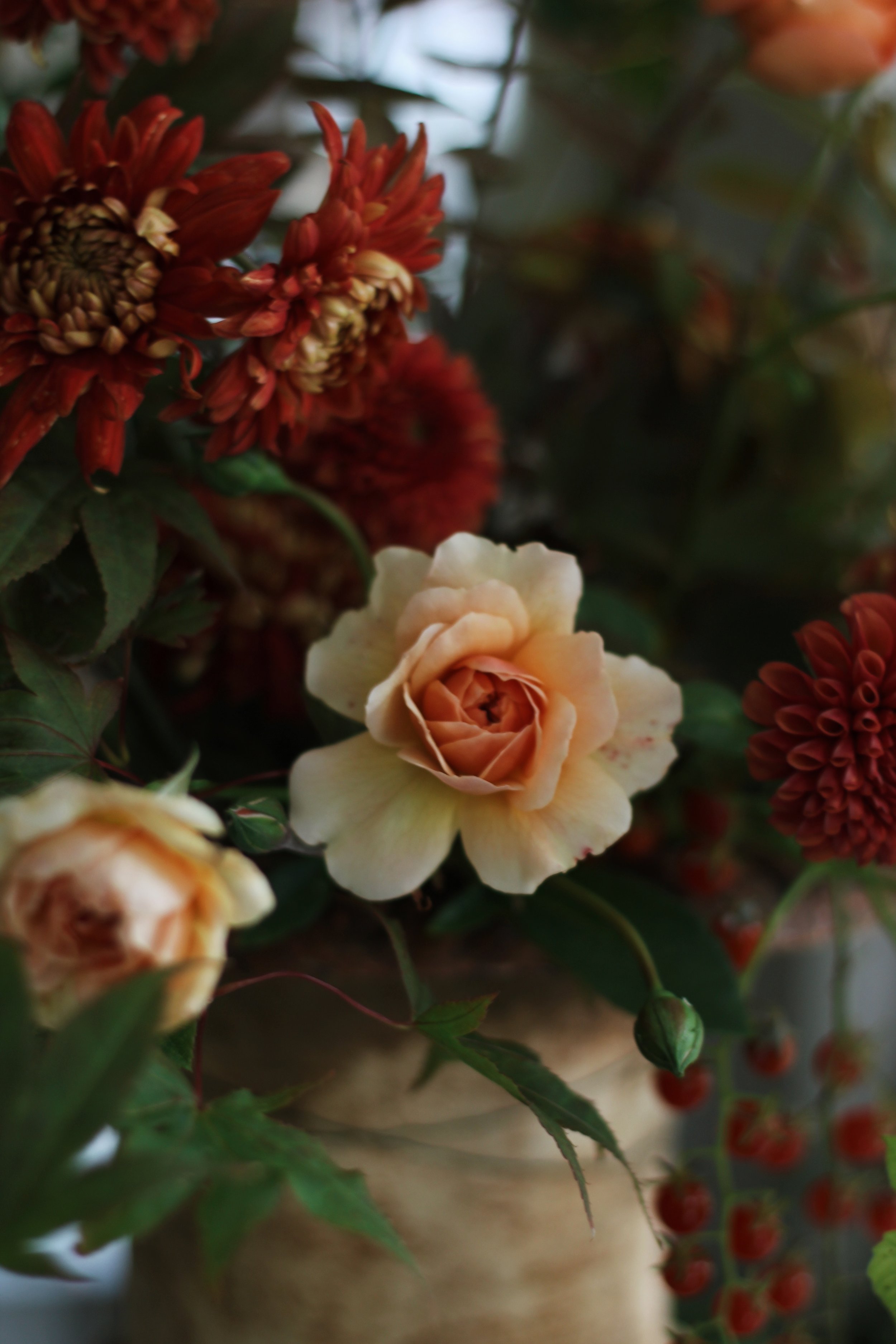 5CF98067-E8F1-41A0-A3B5-753B6F756C1A.jpeg