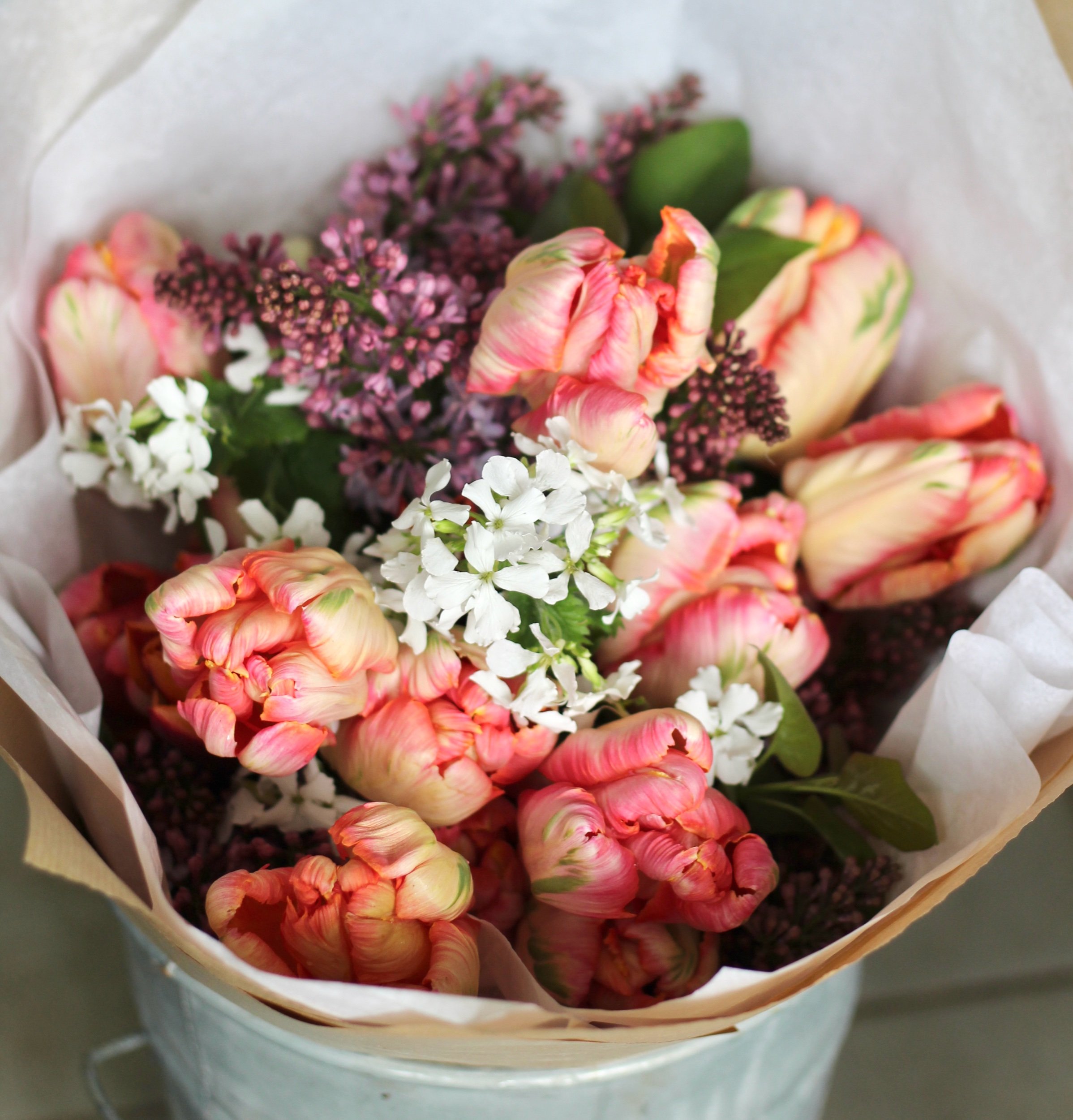 59A820E0-D92D-4184-A3AB-96C10F015ED8.jpeg