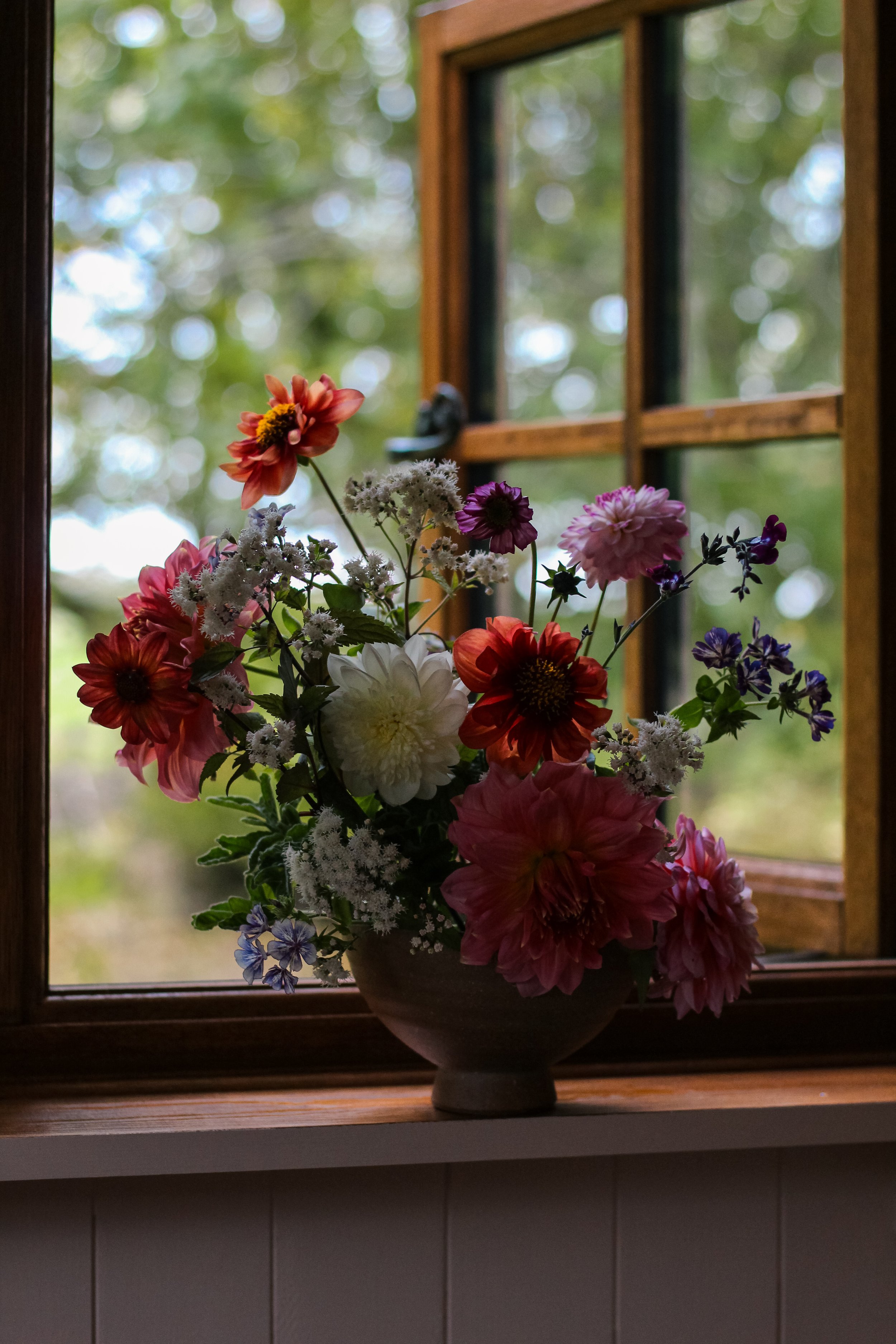 IMG_9247.jpeg
