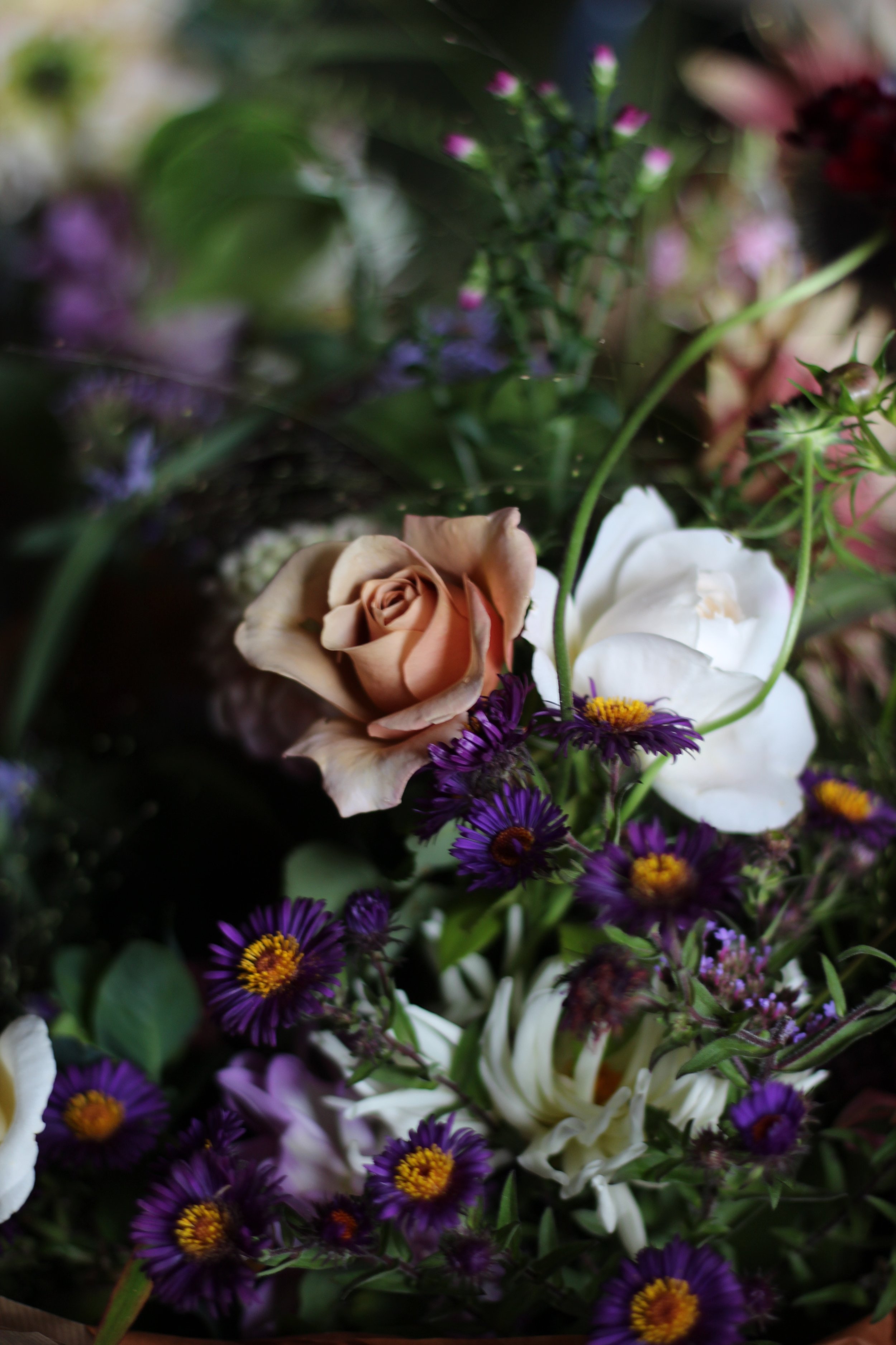 IMG_6196.jpeg