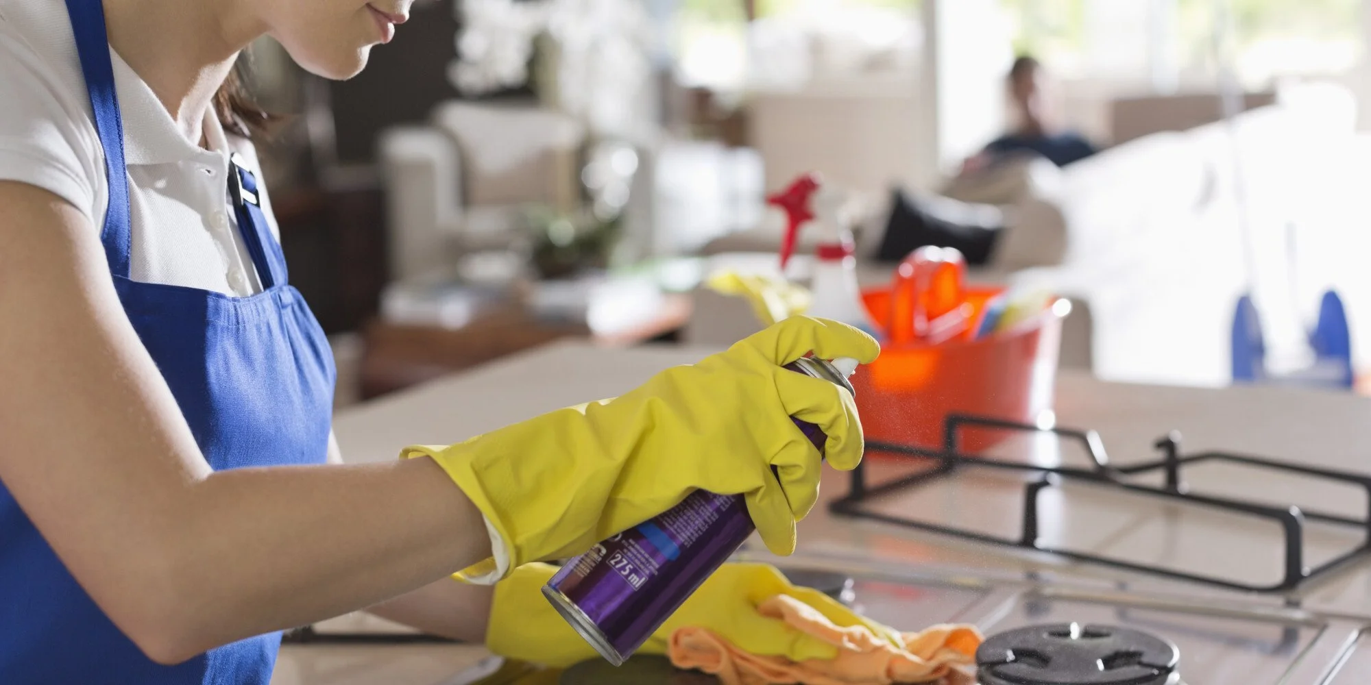 Hire a Professional Oven Cleaning Service 