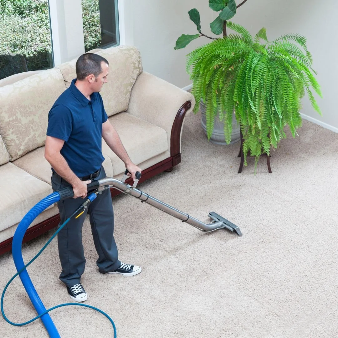 Say Goodbye to Stains: The Power of Carpet Cleaning Services