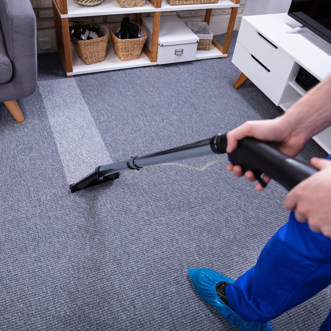 Say Goodbye To Stains: Meet Premier Carpet Cleaning Specialists