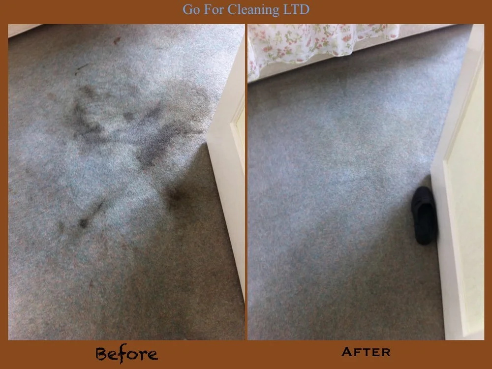 Steam Carpet Cleaning London Go For Cleaning Certified