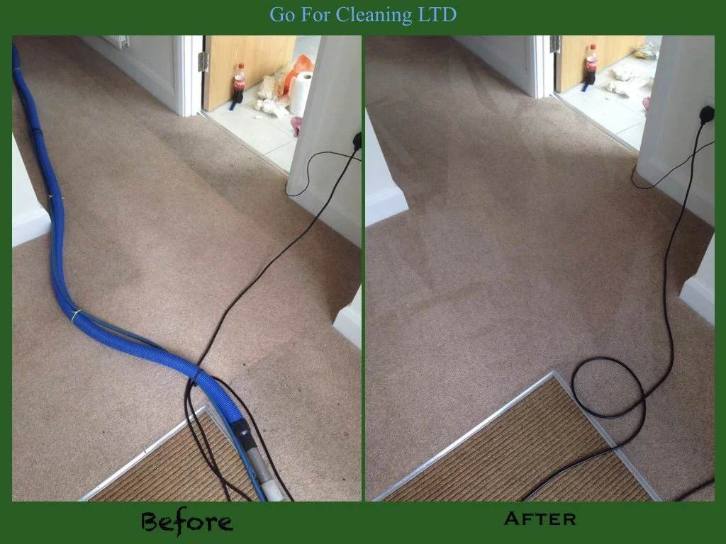 Professional Steam Carpet Cleaning London | Go For Cleaning