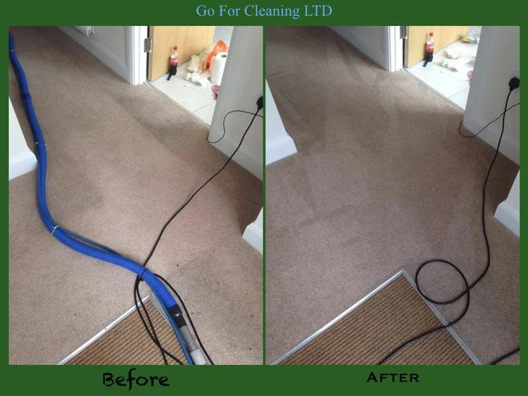 Professional Steam Carpet Cleaning London | Go For Cleaning