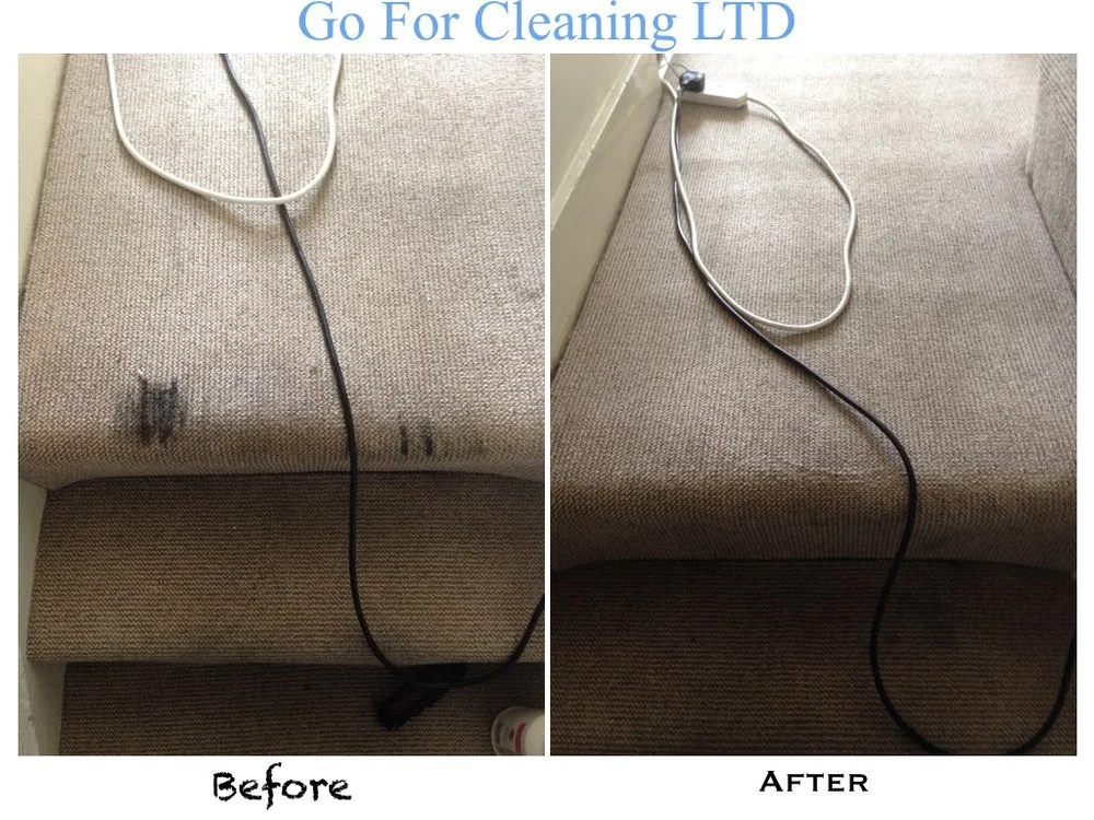 Professional Steam Carpet Cleaning London | Go For Cleaning