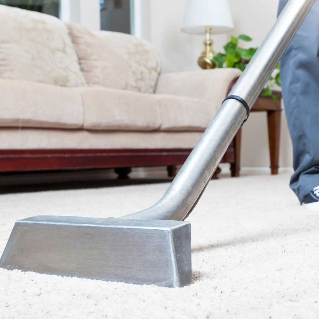 What Are the Common Myths About Carpet Cleaning You Should Know?