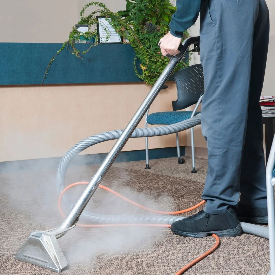 How Professional Steam Cleaning Can Extend Your Carpet’s Life