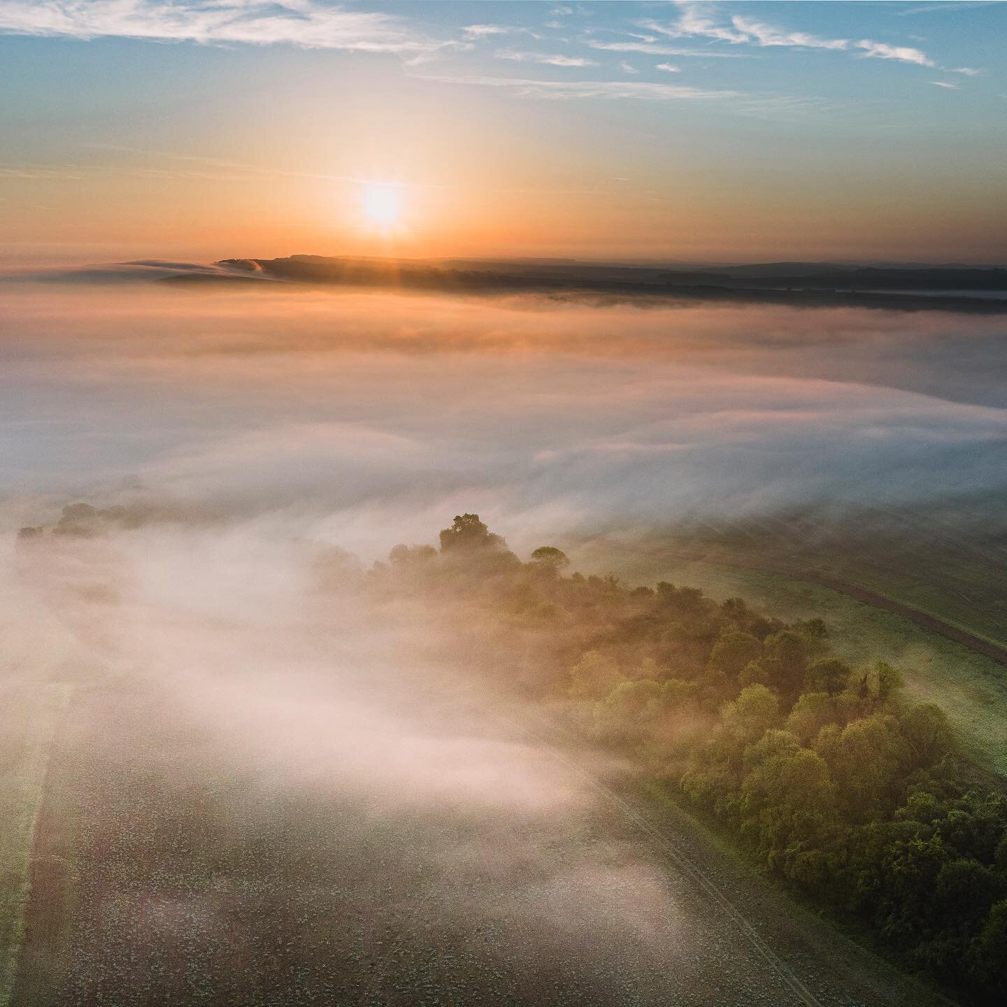 Moments of pure magic on the South Downs.  One of my very fav places to watch the sun rise this, and enjoyed having some additional elevation with the Mavic 3.
.
.
#sunrise
#foggysunrise 
#southdowns
#westsussex
#goldensun 
#fog
#mist
#foggylandscape