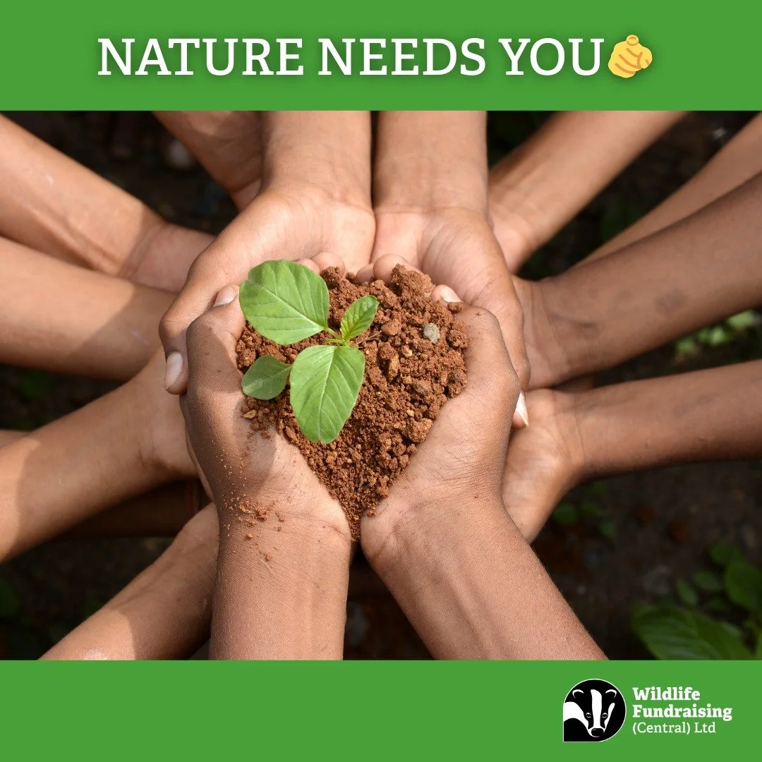 π± Nature Needs You — and So Do We! π±
Just like the hands in this photo, it takes all of us working together to nurture and protect the wild spaces we love. π
This week, our incredible team of charity fundraisers are out across [insert regi