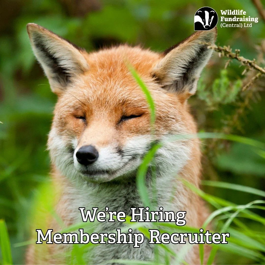 π¦ We’re Hiring – Join Our Team!
Do you love wildlife and enjoy connecting with people?
We’re looking for passionate, friendly individuals to become Membership Recruiters with Wildlife Fundraising Central.
πΏ What’s the rol