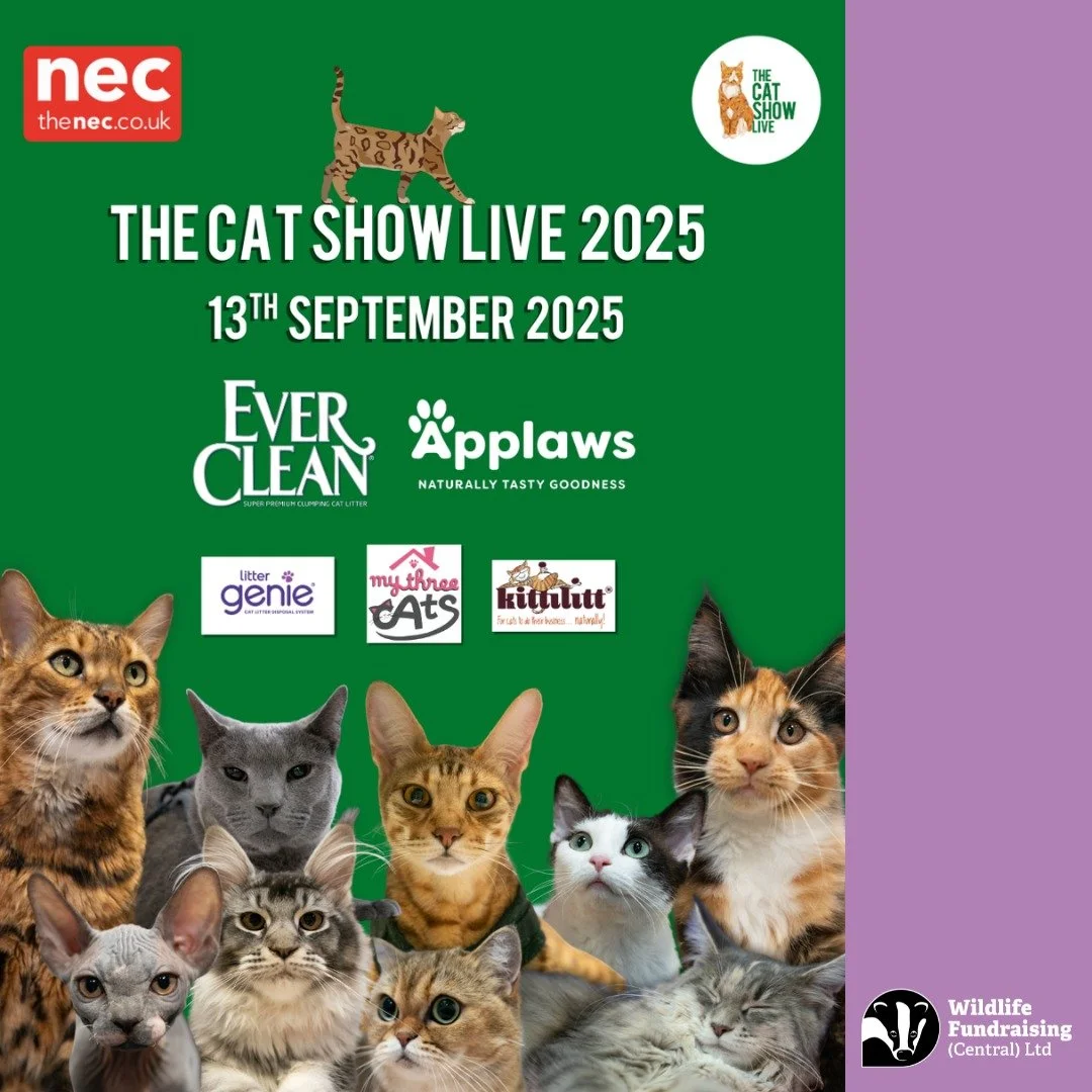 β¨πΎ Amy’s Venue Spotlight: This Week at The Cats Show Live! πΎβ¨
This week, our team is heading to The Cats Show Live at the NEC Birmingham – one of the UK’s most exciting events for cat lovers! π±
ποΈ Thanks to our friends at The