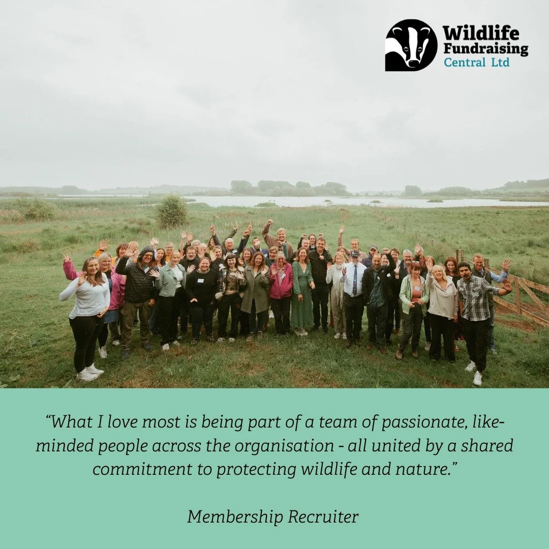 π “What I love most is being part of a team of passionate, like-minded people across the organisation — all united by a shared commitment to protecting wildlife and nature.”
— Membership Recruiter, Wildlife Fundraising Centra
