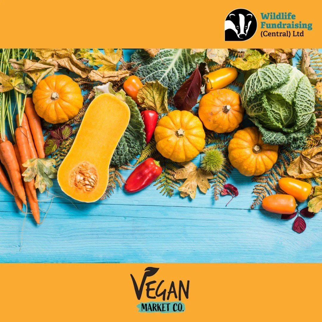 🧡 Amy&rsquo;s Venue Spotlight: St Albans Vegan Market 🧡

We&rsquo;re heading to the St Albans Vegan Market on Saturday 2 November!

🌿 Come meet our passionate recruiters Doug and Paul, who&rsquo;ll be there chatting with visitors about how you can