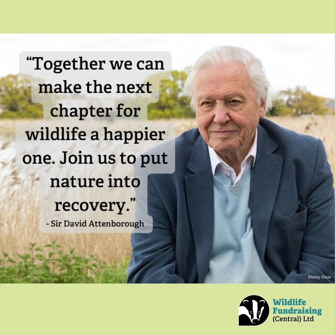 We&rsquo;re on a mission to help nature bounce back&mdash;and we need passionate people to join us.

Wildlife Fundraising Central is recruiting Membership Recruiters to inspire support for our vital conservation work. If you love talking to people, c