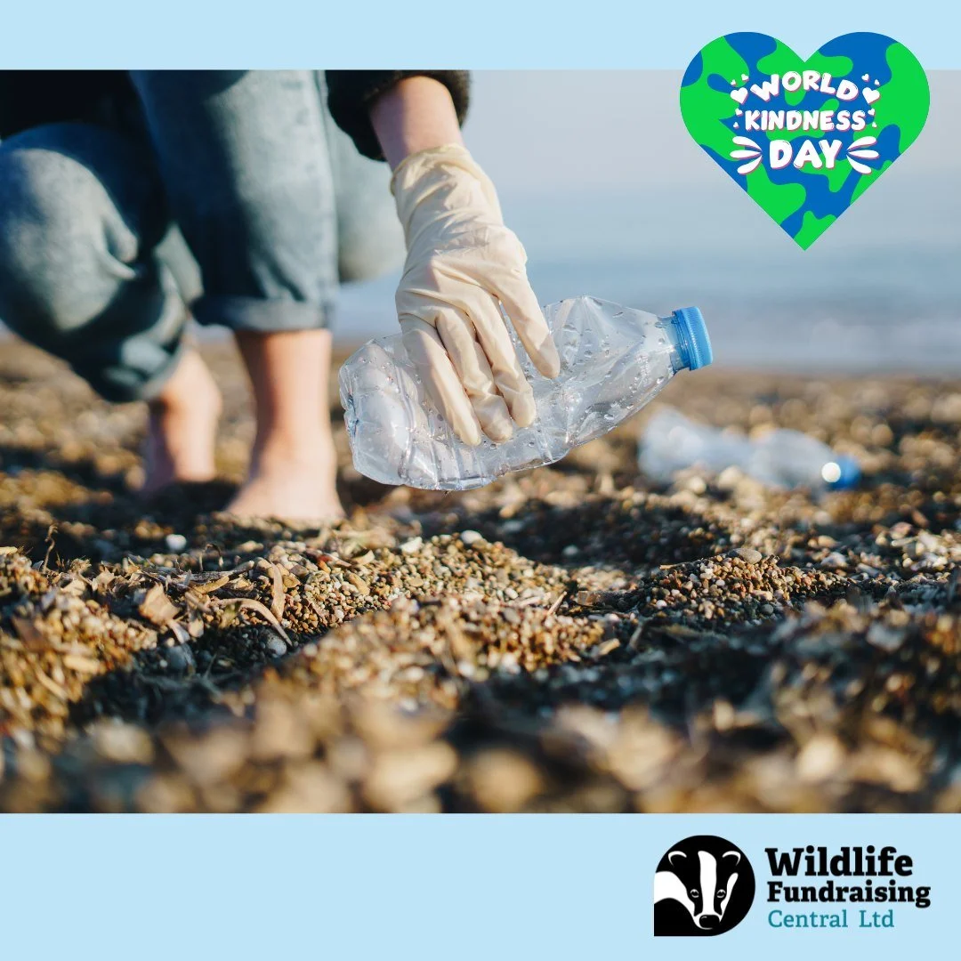 🌍💚 Happy World Kindness Day! 💚🌍

Kindness isn&rsquo;t just human-to-human. It&rsquo;s human-to-nature. Every time we pick up litter, plant a tree, or protect wildlife, we&rsquo;re making the world a better place.

📣 Join us in being a voice for 