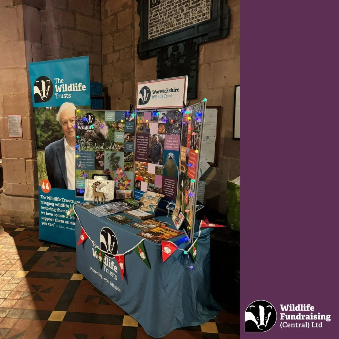 🎪 Out and About with Our Recruiters 🎪

Our fantastic recruiter Steve, recently set up a very festive stand inside St Edith&rsquo;s Church in Monks Kirby &ndash; an incredible Norman church with centuries of history! 

It was an unexpected but wonde