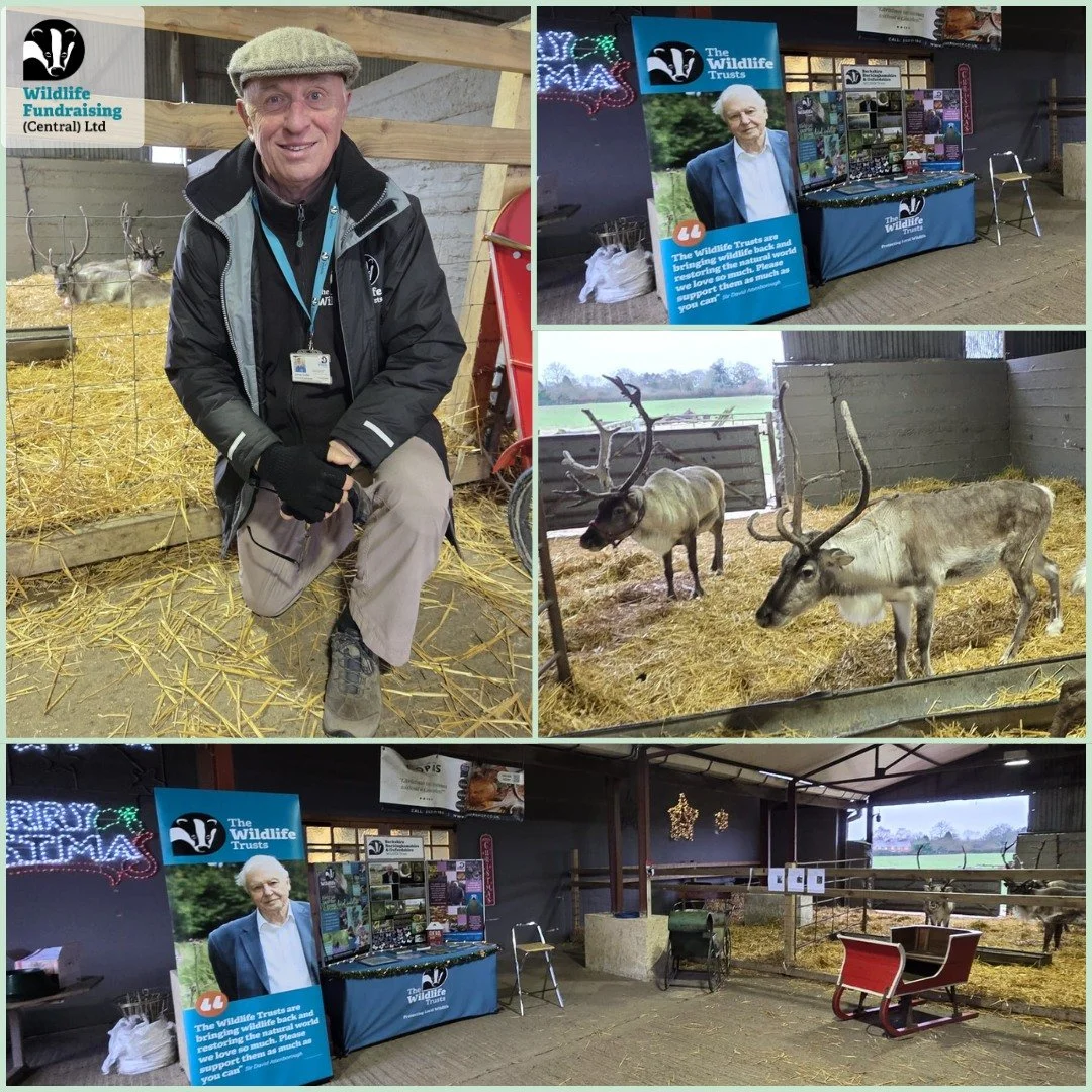 🎪 Out and About with Our Recruiters ❄️✨🎄

Meet our brilliant recruiter James at Appleton Christmas Barn in Appleton, Oxfordshire! He&rsquo;s all set up and ready to chat with visitors about how they can help restore nature.

His secret to staying w