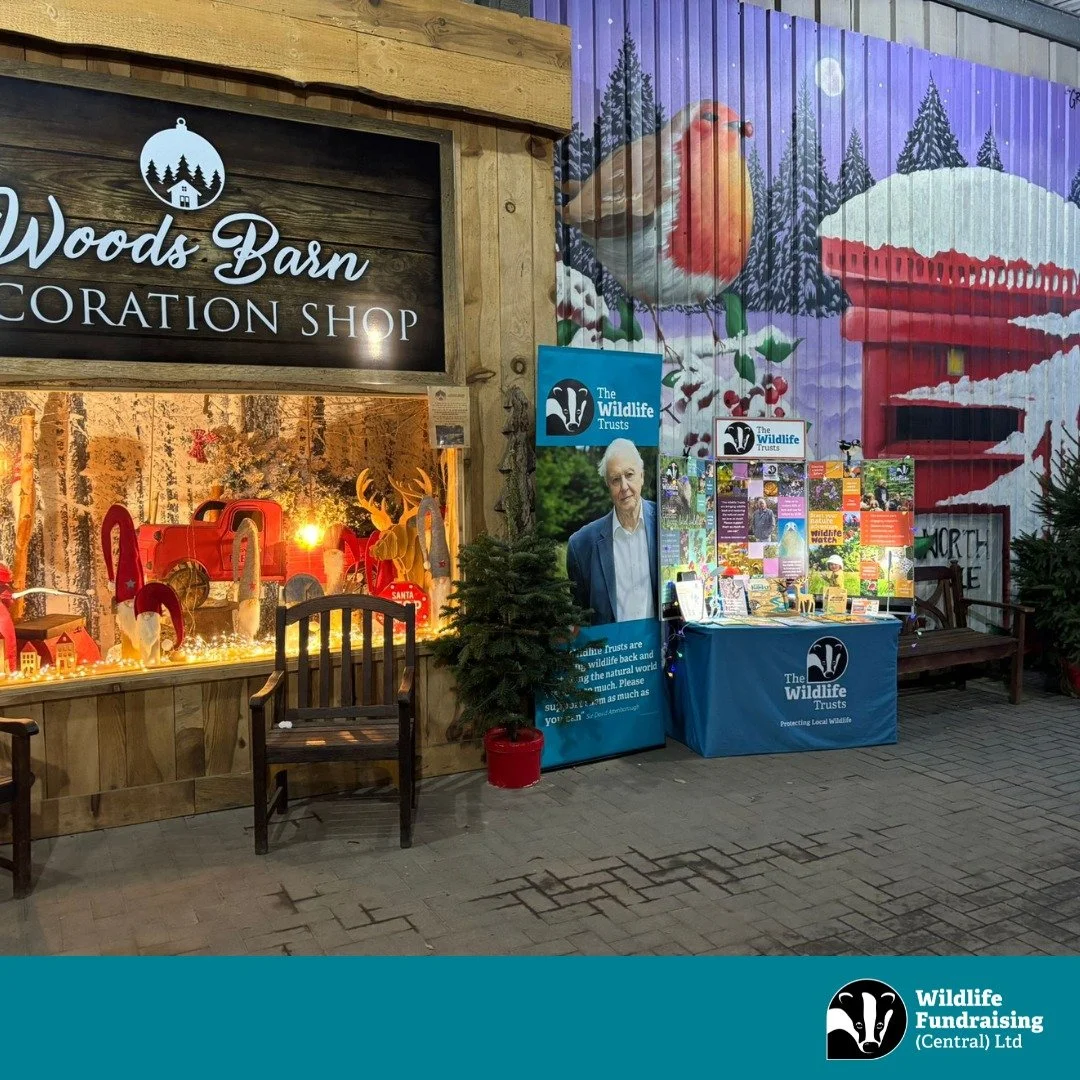 🎪 Out and About with Our Recruiters 🎪

This month has been jam-packed with festive events for our team! 🎄

Membership Recruiter Steve recently worked at the brilliantly festive&mdash;Woods Farm Christmas Trees in Solihull. Surrounded by twinkling 