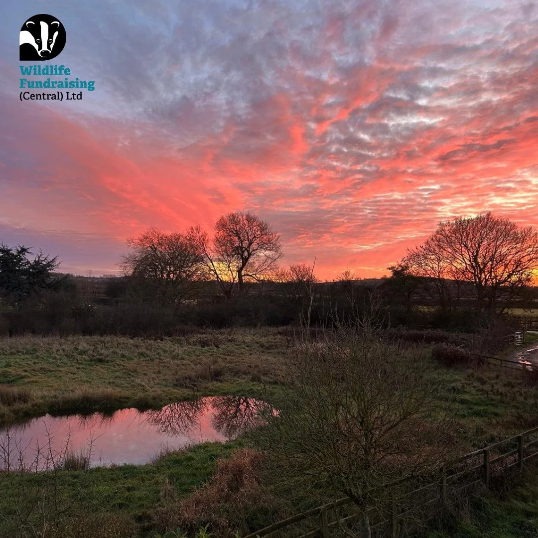 🌅 A December Sunset at Meadow Farm ❄️✨🎄

December evenings give us stunning sunsets like this one, pictured last week from our office window&mdash;the sky glowing in shades of pink and gold as the day came to a close.

This is where our membership 