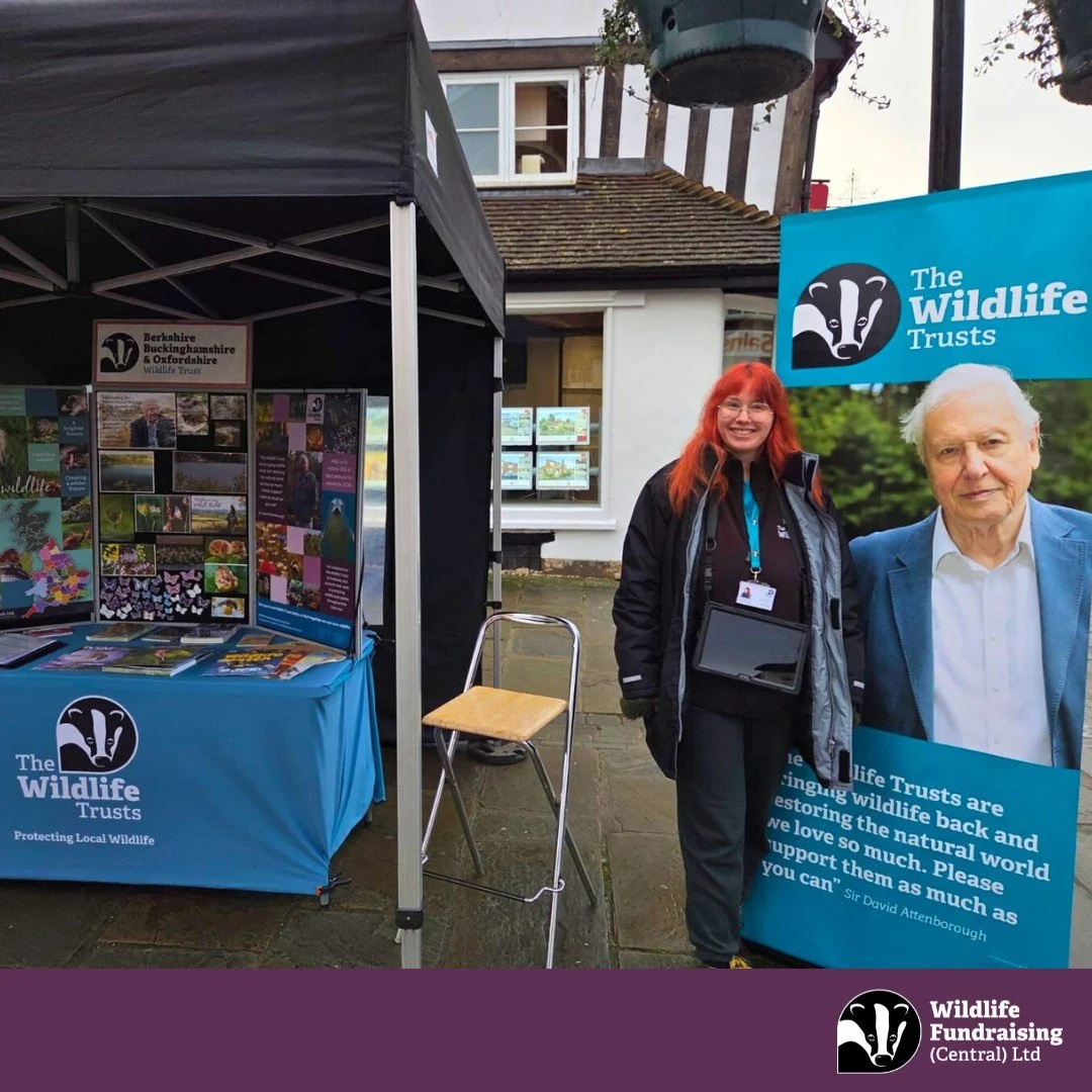 🌍 Inspired by Sir David Attenborough 🌍

Few people have done more to champion the natural world than Sir David Attenborough. For decades, his voice has inspired millions to care about wildlife, protect our planet, and believe that positive change i