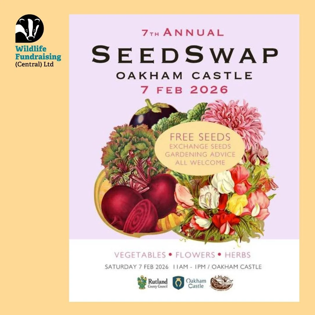 🌱 Venue Spotlight: Oakham Castle Seed Swap 🌱

This Saturday, our brilliant recruiter Chris will be at the Oakham Castle Grounds, Market Place, Oakham, chatting to members of the public at the Seed Swap about how they can help protect local wildlife