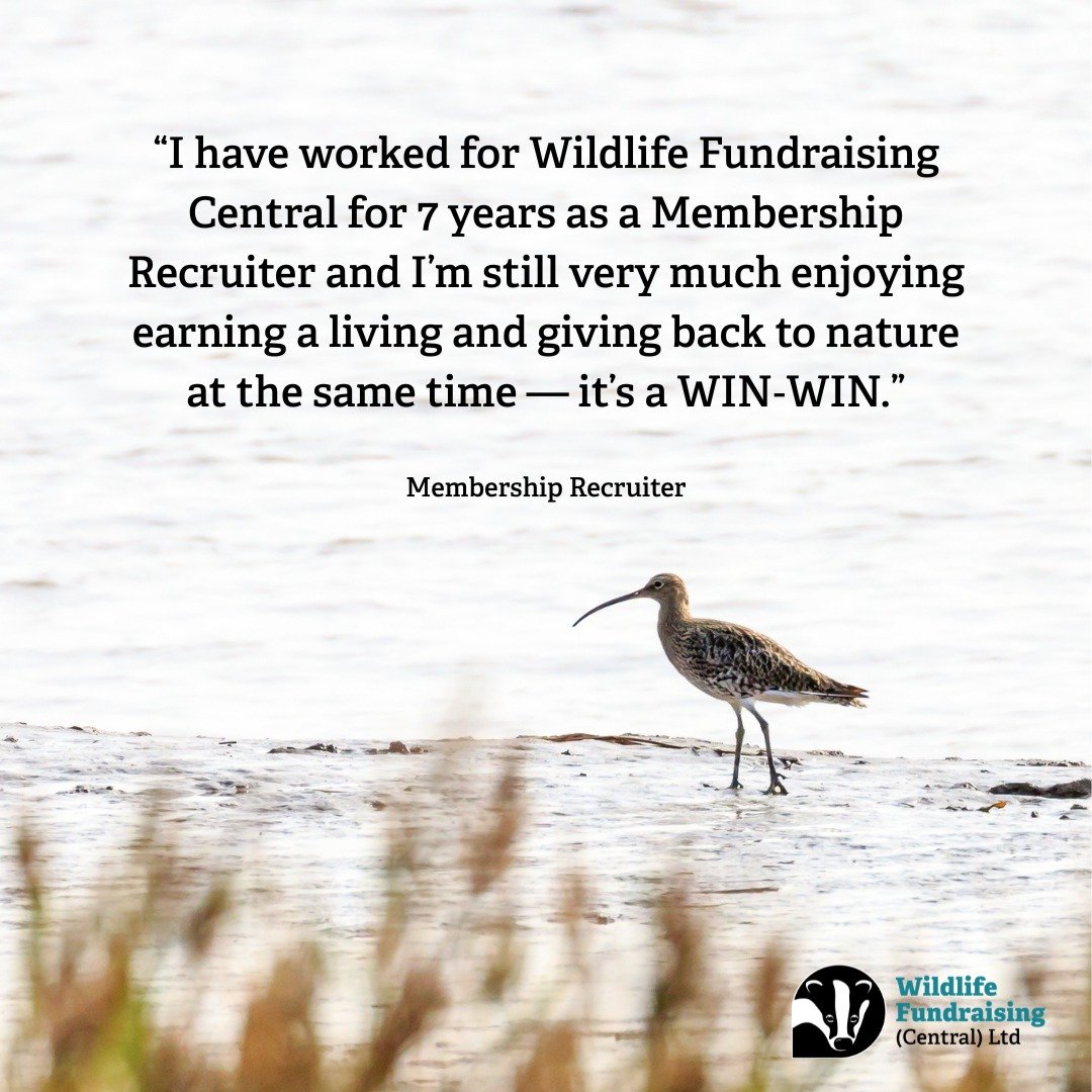 Together, we&rsquo;re protecting species like the curlew and restoring the wild places they depend on.

📍 Roles available across:
Berkshire, Buckinghamshire, Oxfordshire, Essex, Herts &amp; Middlesex, Leicestershire &amp; Rutland, Lincolnshire, Nott