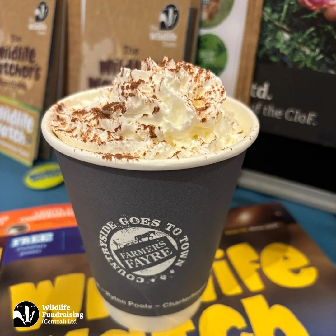 ☕️ Just one of the perks&hellip;

Out chatting to visitors about protecting local wildlife, our Membership Recruiter Steve was treated to a complimentary hot chocolate.

&ldquo;Marshmallows and cream?&rdquo;
Steve: &ldquo;Oh, go on then!&rdquo; 😁

L