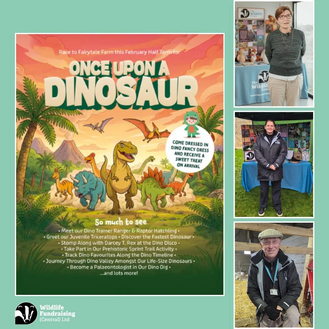 🦕 Venue Spotlight: Fairytale Farm, Chipping Norton

Our brilliant Membership Recruiters, Andrea, James and Kelly will be at Fairytale Farm in Chipping Norton this weekend, speaking with visitors about how they can help protect local wildlife and nat
