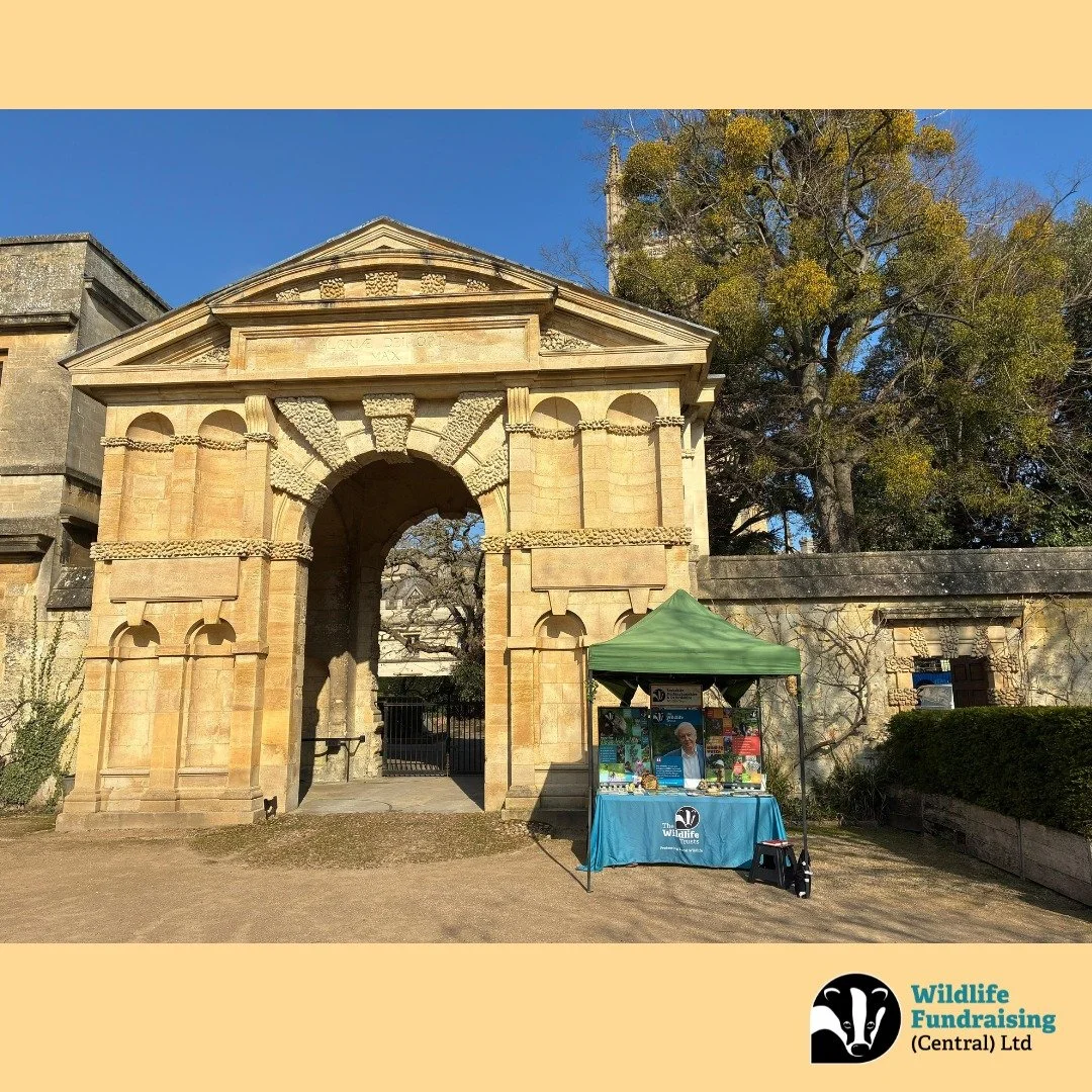 🌿✨ Out &amp; About with our Recruiters &ndash; Working in Beautiful Places Like Oxford Botanic Garden ✨🌿

Recently, our recruiters had the absolute pleasure of working at the stunning Oxford Botanic Garden &mdash; one of the most beautiful and peac