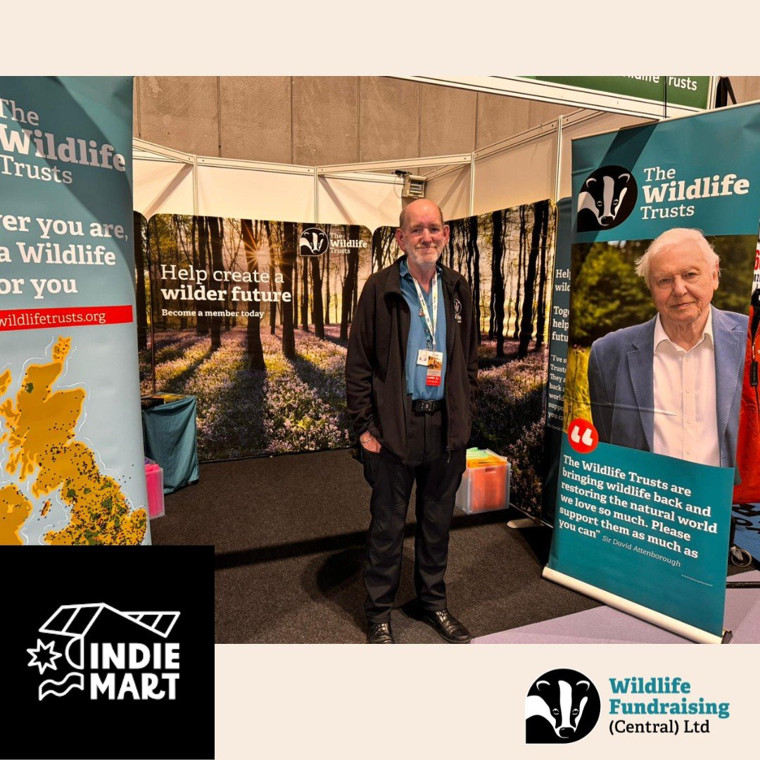 🌟 Venue Spotlight: Indie Mart at FarGo Village 🌟

We&rsquo;re heading to Indie Mart at FarGo Village, Coventry this Friday, Saturday &amp; Sunday! Pop by our stand to chat with our team about wildlife, memberships, and how your support helps protec