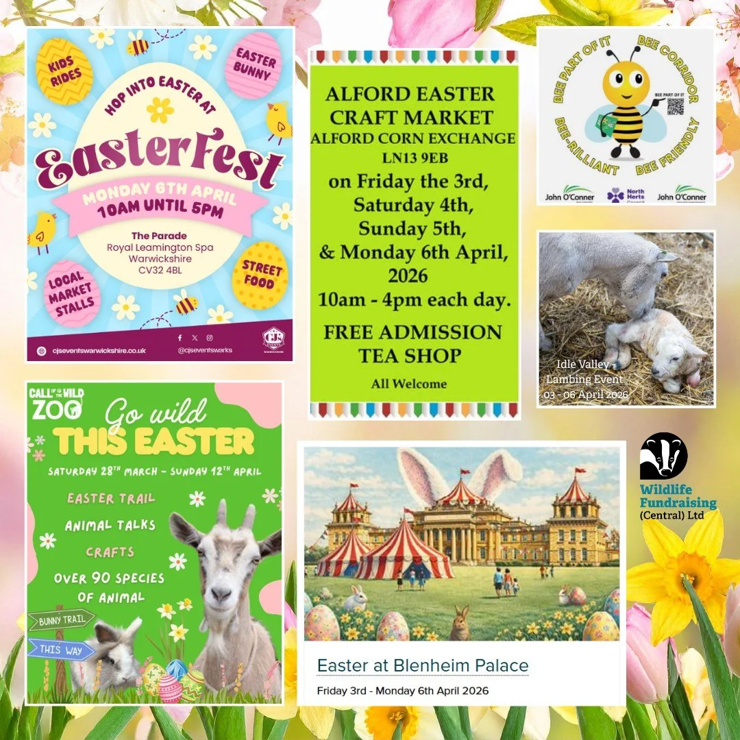 🌼 Venue Spotlight | Bank Holiday Easter Weekend Highlights 🌼

This Easter weekend, our Membership Recruiters are out and about at an exciting range of venues and events across our regions &mdash; meeting communities, celebrating spring, and inspiri