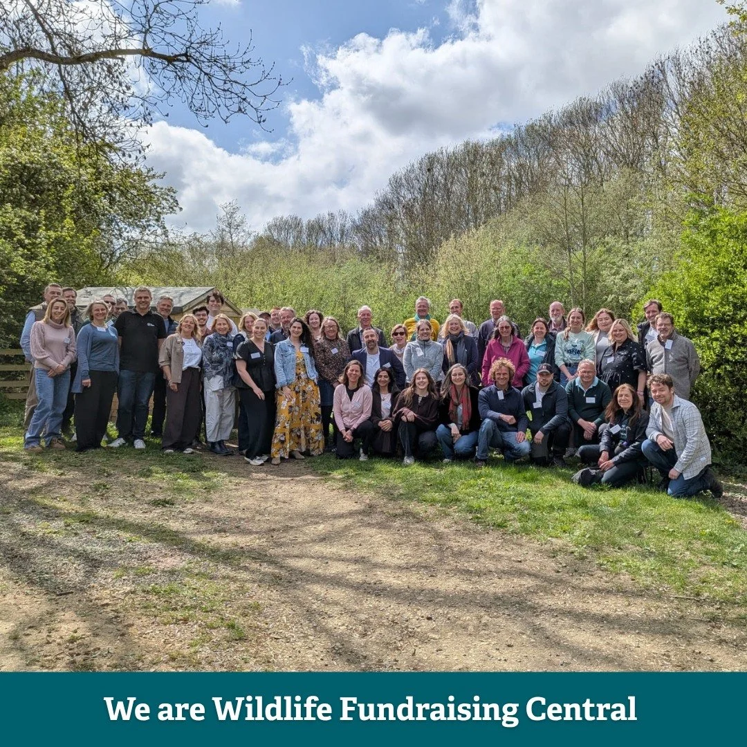 🌿 One organisation. One mission. One brilliant team.

Last week, our whole Wildlife Fundraising Central team came together at Rutland Water &mdash; membership recruiters, core staff, and managers &mdash; reconnecting with one another and with the na