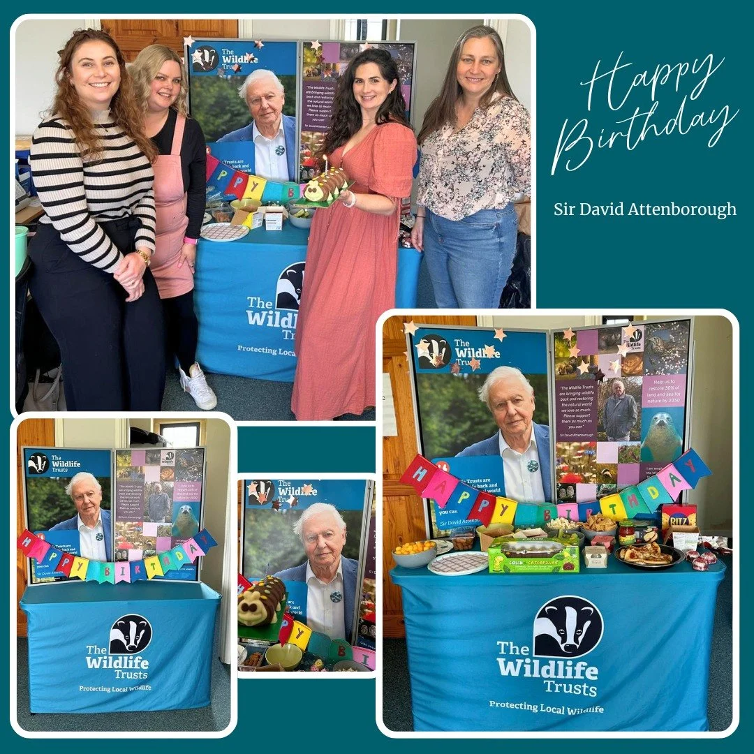 An early birthday celebration for Sir David Attenborough in the office today 🎉 

Our team marked the occasion (a day early!) with a bring &amp; share lunch (and a Colin the Caterpillar cake, of course 🐛), taking a moment to reflect on the incredibl