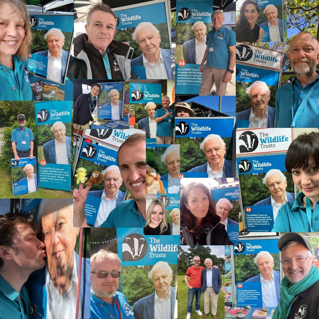 Today, we&rsquo;re celebrating an incredible milestone- Sir David Attenborough&rsquo;s 100th birthday 💚 

For generations, he has inspired millions to love, understand, and protect the natural world. His voice has sparked curiosity, compassion, and 