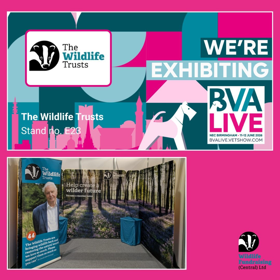 📍 BVA Live | 11&ndash;12 June

Our brilliant Membership Recruiters will be at BVA Live, speaking with veterinary professionals about how they can support wildlife across the UK 🐾🌿

If you&rsquo;re attending, come and say hello 👋 and find out how 