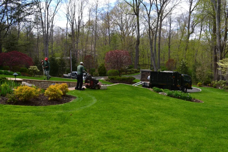 Lawn care near Me Larchmont Lawn Care Near Me Harrison, Scarsdale, Rye NY Joseph Bulfamante
