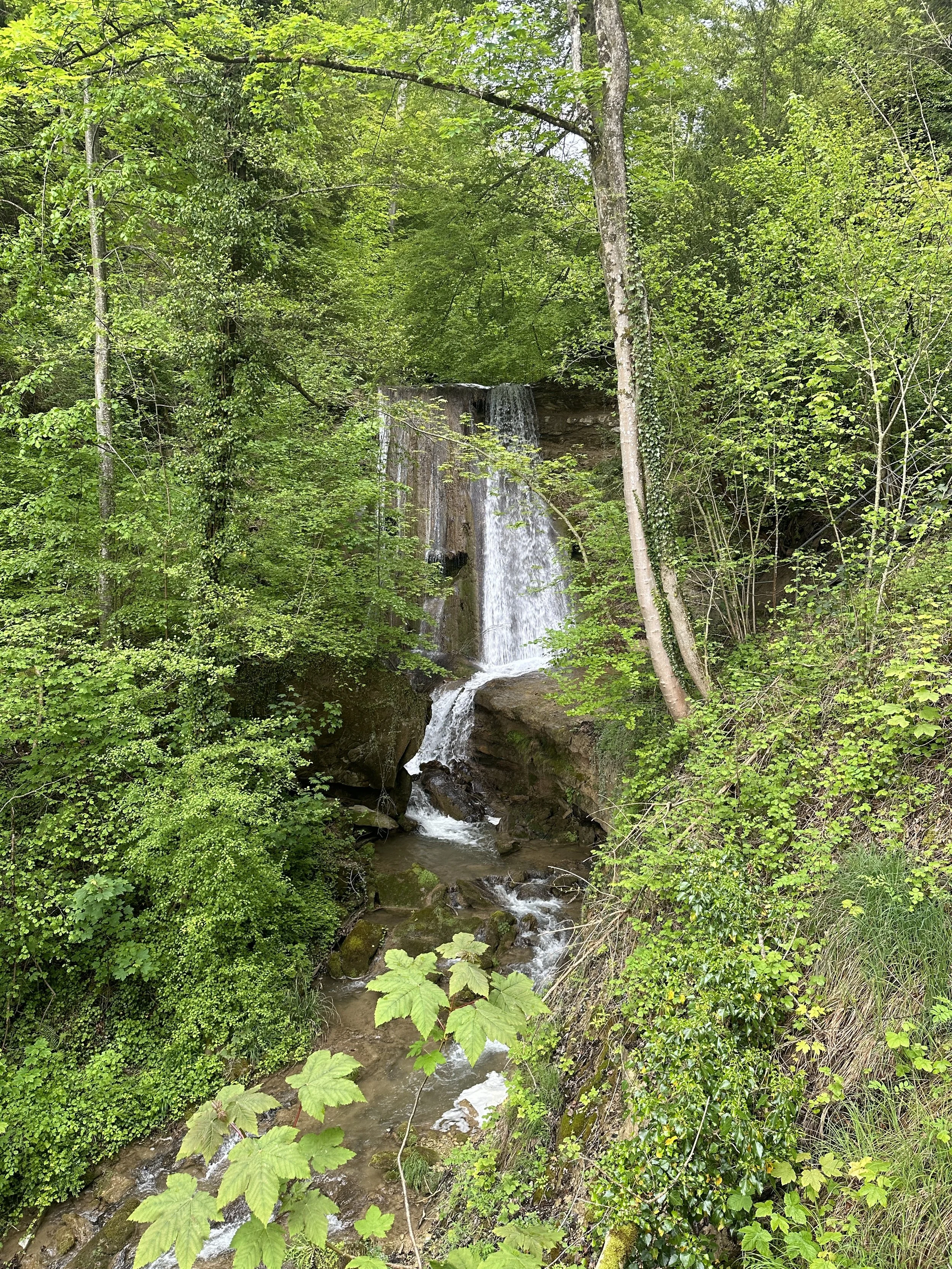 Ein Wasserfall inmitten eines grünen Waldes, mit Wasser, das über Felsen fließt und von zahlreichen Bäumen umgeben ist.