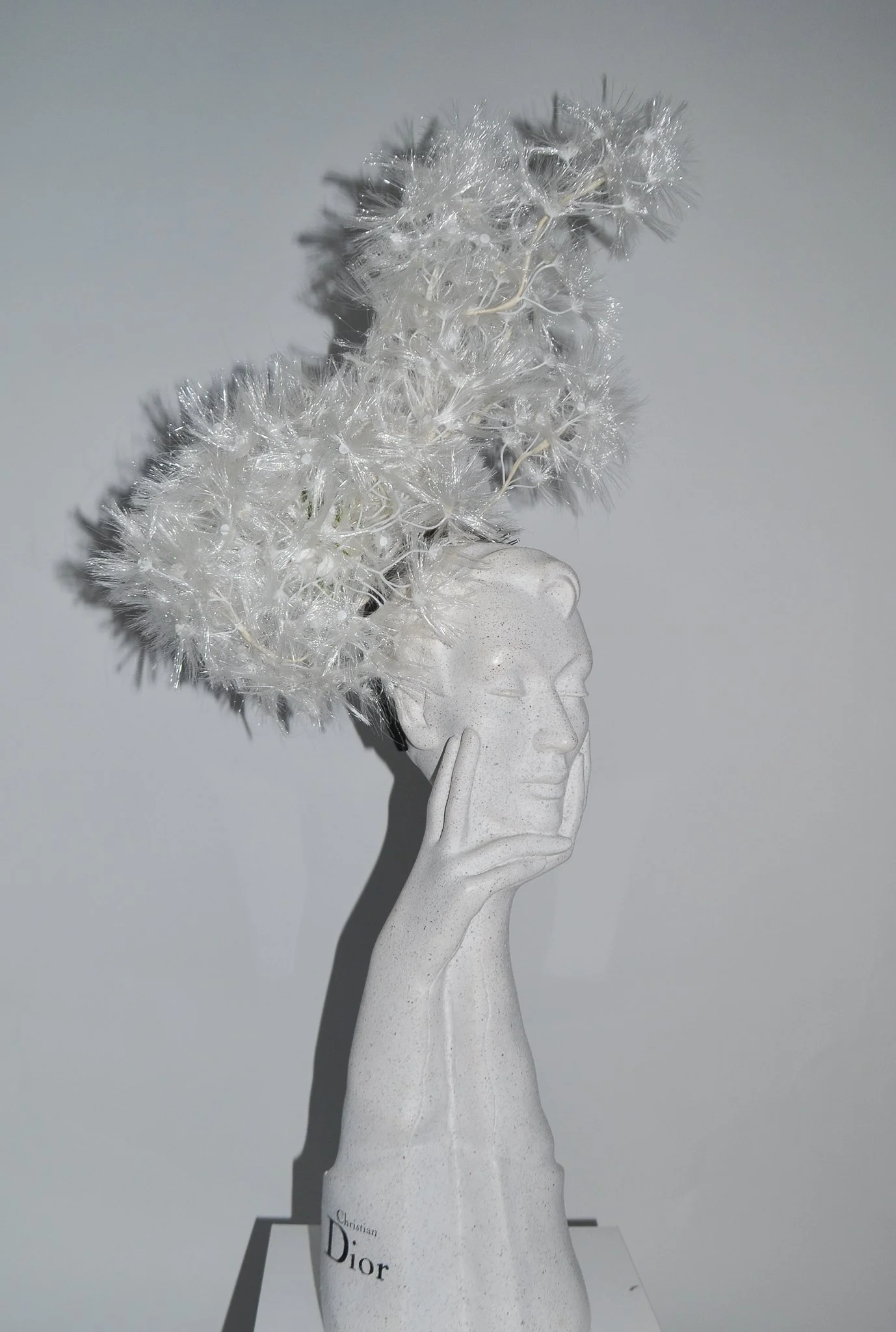 Carrie Jenkinson SS25-678.jpg