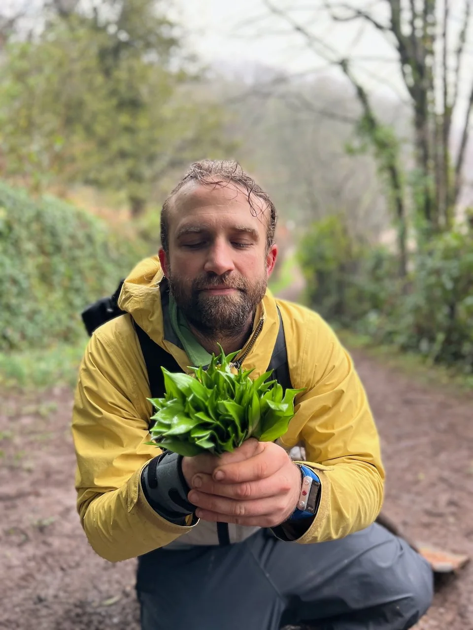 Fermented Wild Garlic