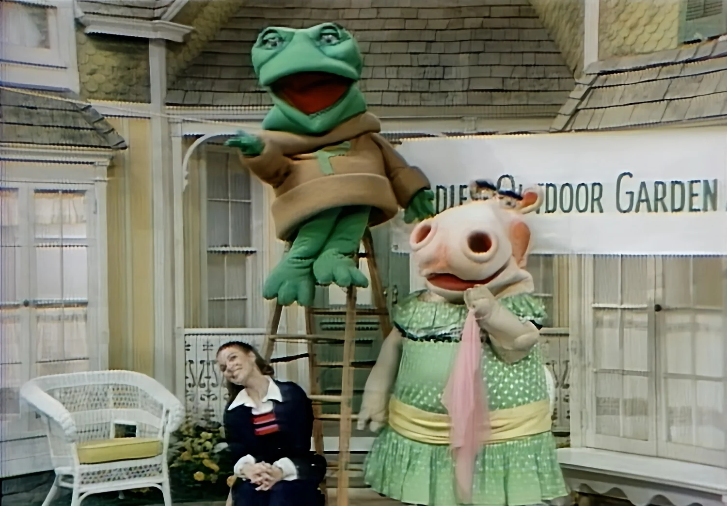 ABOUT THE SHOW — THE NEW ZOO REVUE