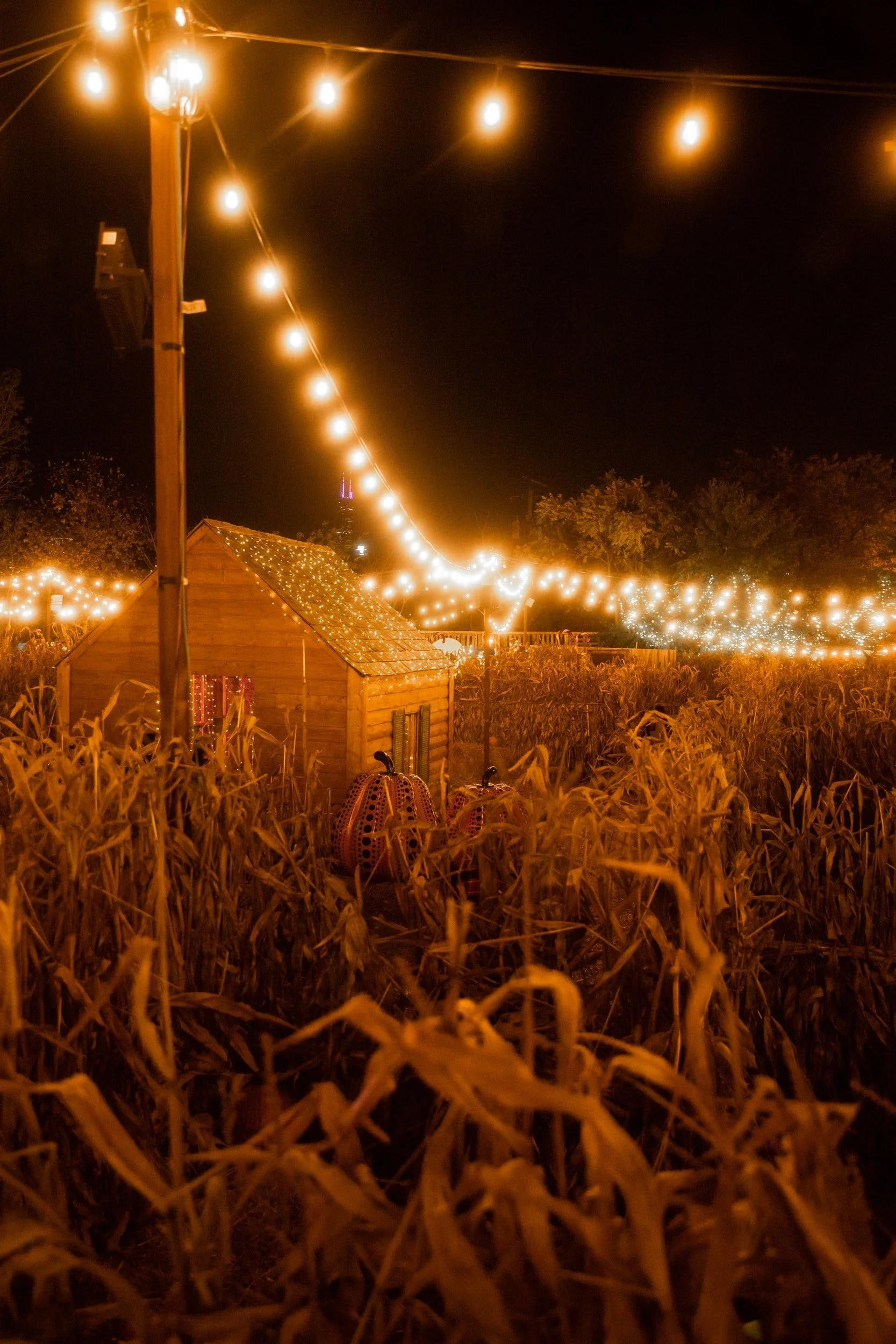 Haunted Trail 10/29/22 – Attendee Registration